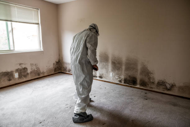 Benson, NC Mold Removal Company